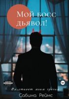 Читать книгу «БЕСстрашная помощница для Дьявола» онлайн