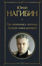 Линда Сегер ★ Как хороший сценарий сделать великим читать книгу онлайн бесплатно