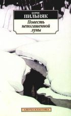 Борис Пильняк: Голый год. Повесть непогашенной луны. Рассказы