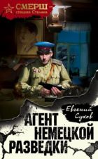 Онлайн книги автора Евгений Сухов